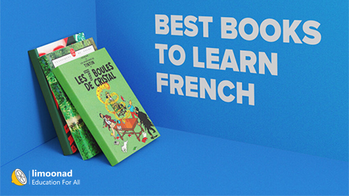 چرا باید زبان فرانسه را یاد بگیریم؟ + معرفی 5 کتاب برای یادگیری زبان فرانسه